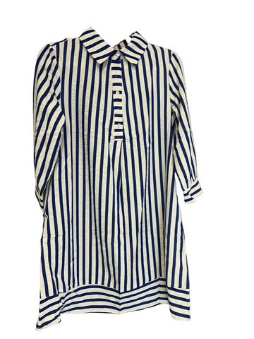 Blue Striped Half Button Dress