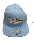 Flat Bill Hat with Ascension A or Gator