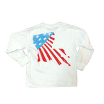 The American Flag Louisiana - Version 2